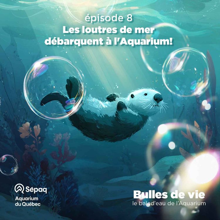 cover art for Épisode 8 - Les loutres de mer débarquent à l'Aquarium!