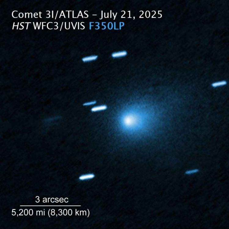cover art for Ep564_B: Disclosure Day; Francois Englert; 3I/ATLAS; Estrellas de Mar