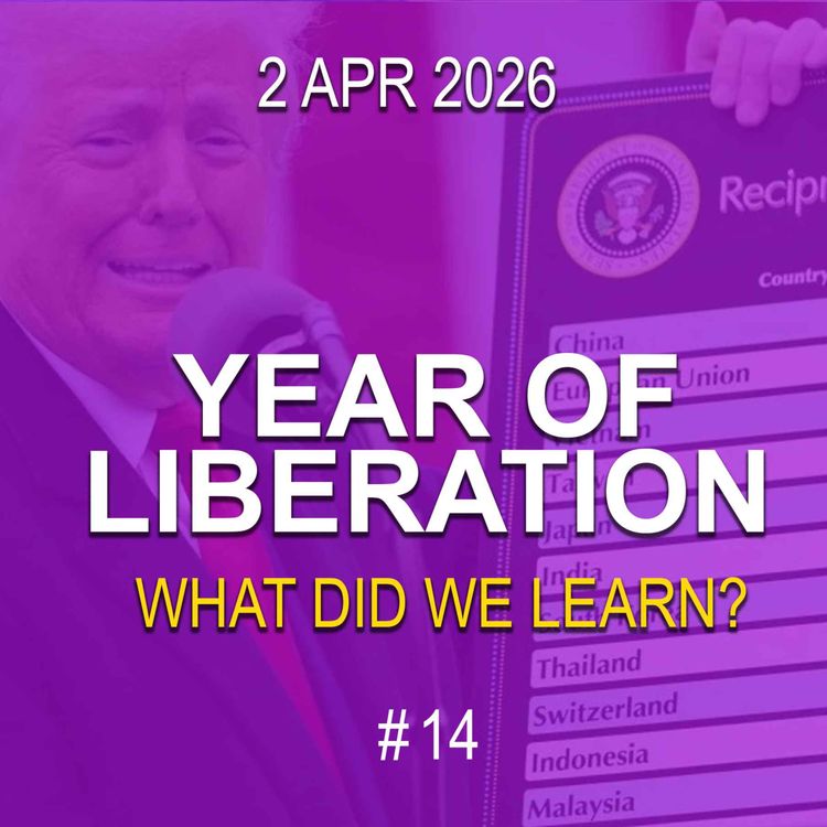 cover art for Year of Liberation - What Did We Learn?