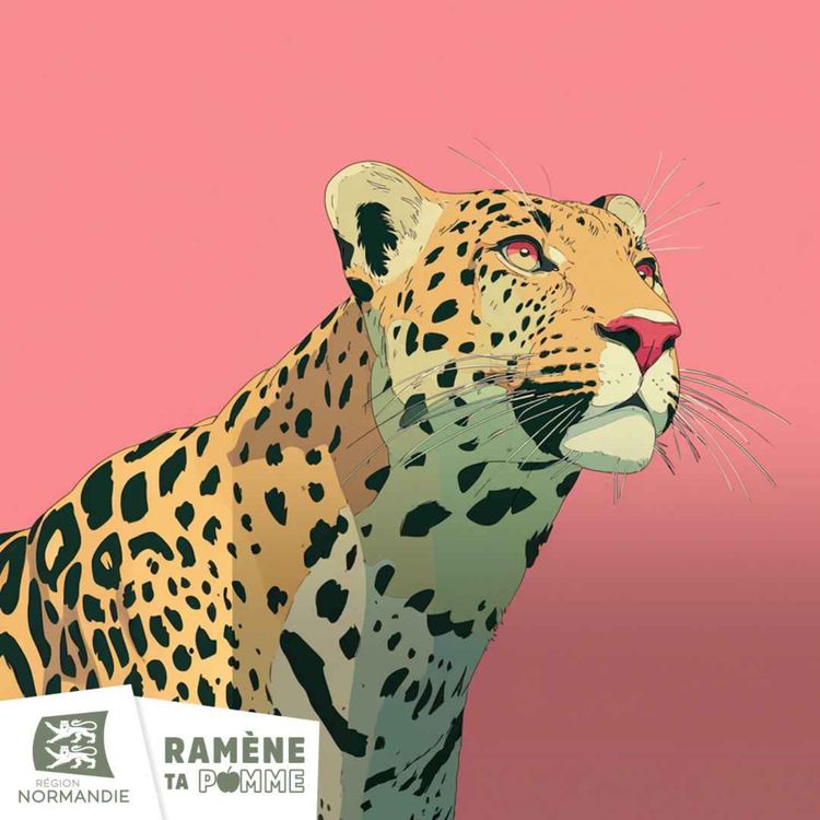 cover art for C'est quoi être Normand ?