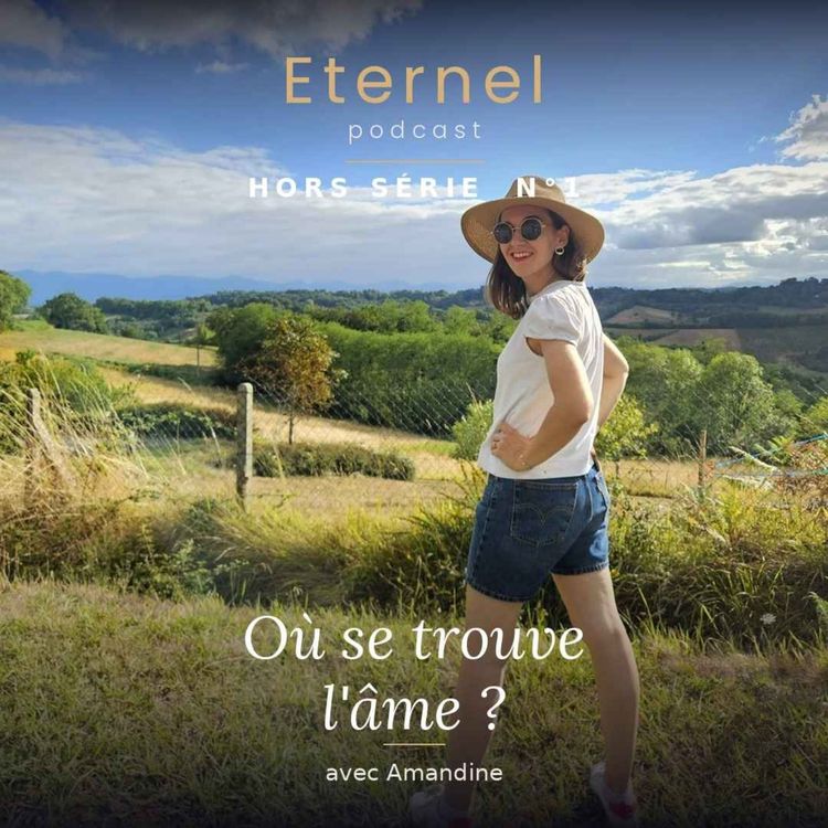 cover art for Amandine - Où se trouve l'âme ?