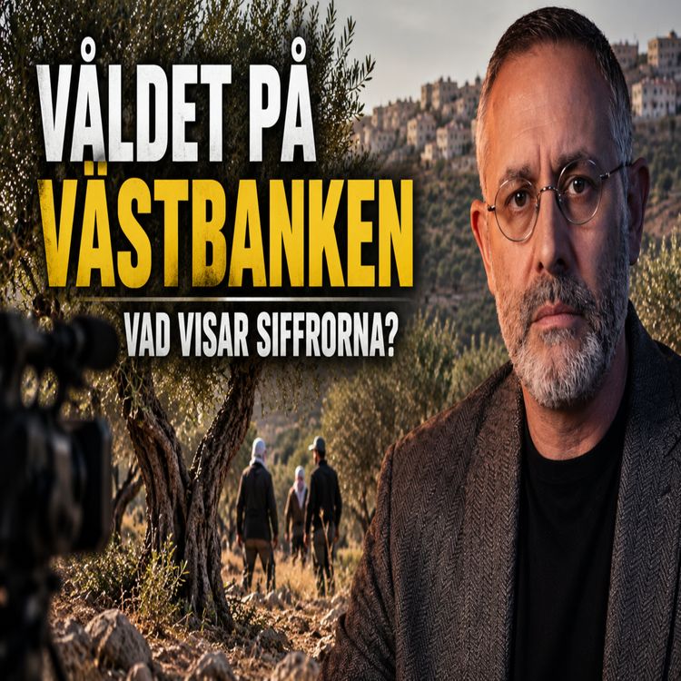 cover art for Lögnerna om bosättarvåldet på Västbanken!
