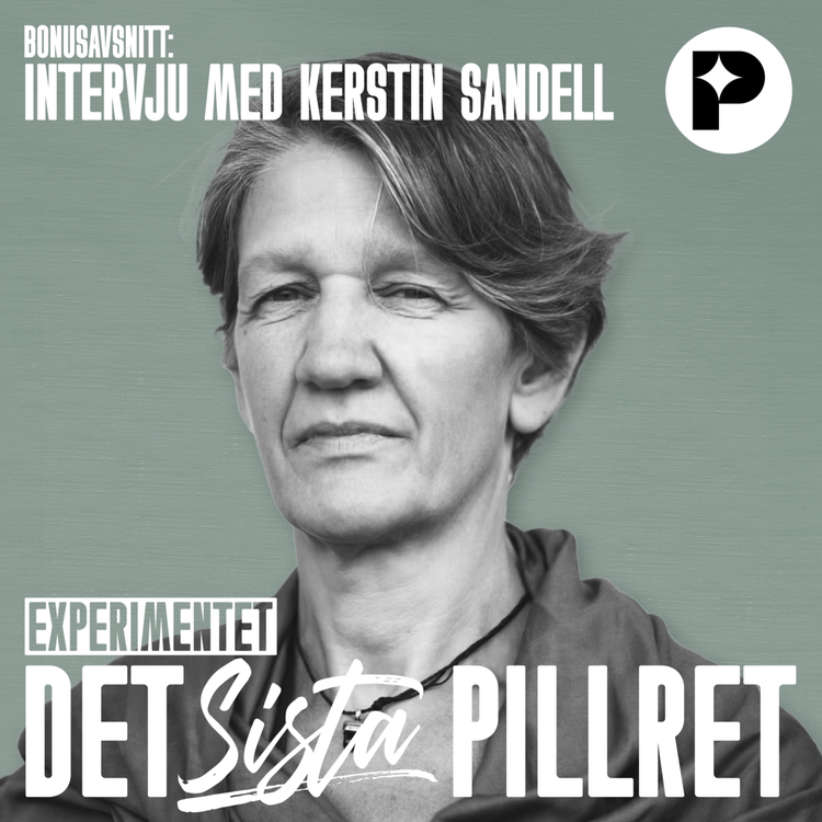 cover art for Det sista pillret BONUSAVSNITT: Om tillståndet som förlorade sitt namn - med Kerstin Sandell