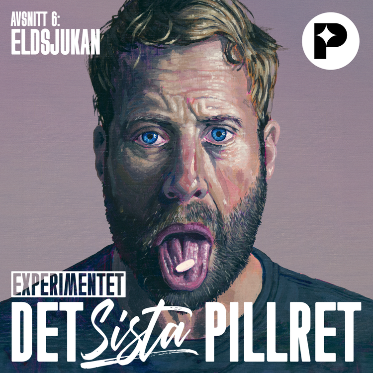 cover art for Det sista pillret: Eldsjukan (6/8)