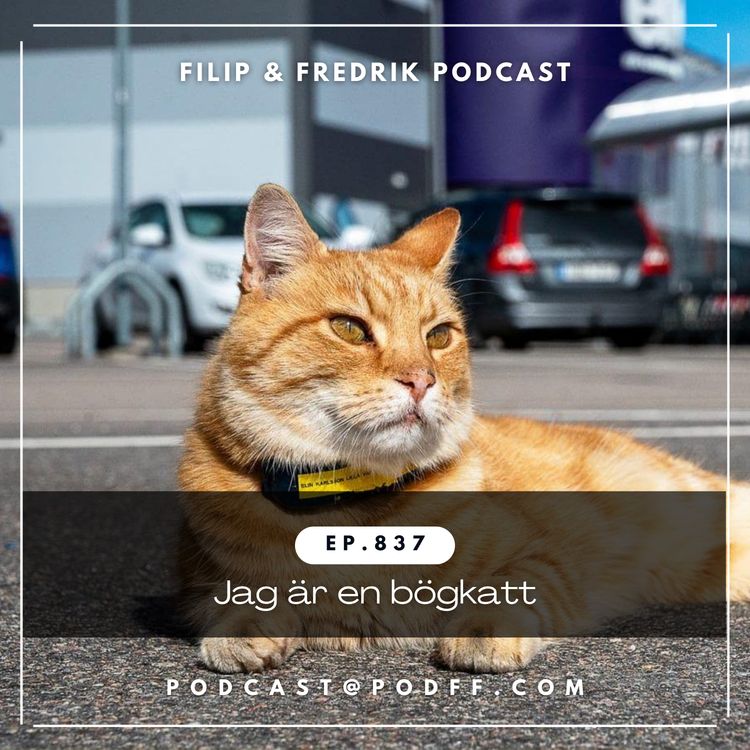 cover art for 837. Jag är en bögkatt