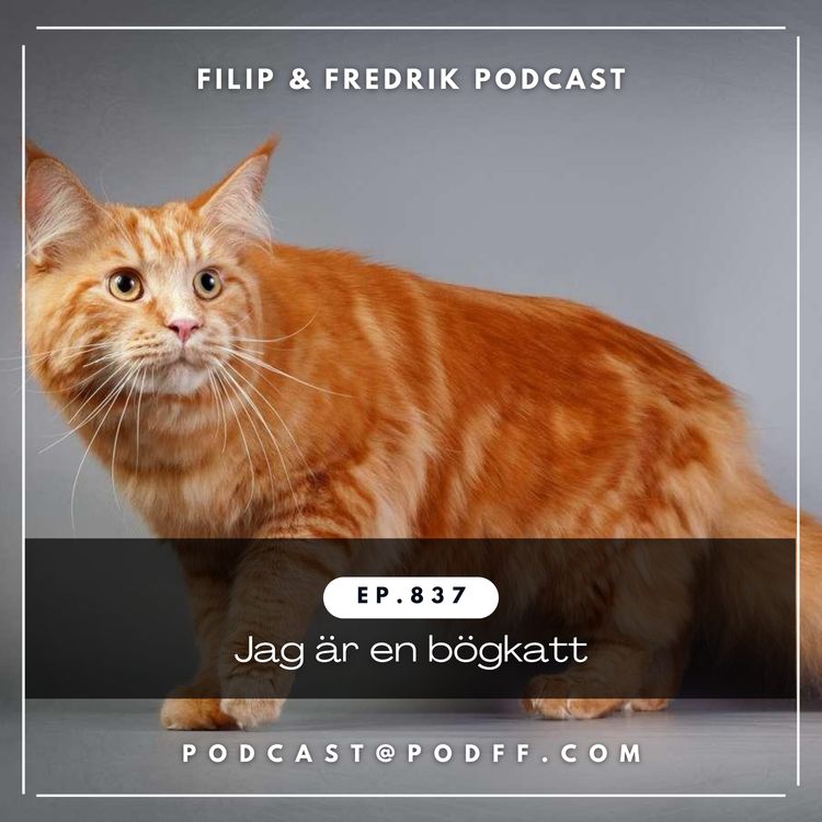 cover art for 837. Jag är en bögkatt