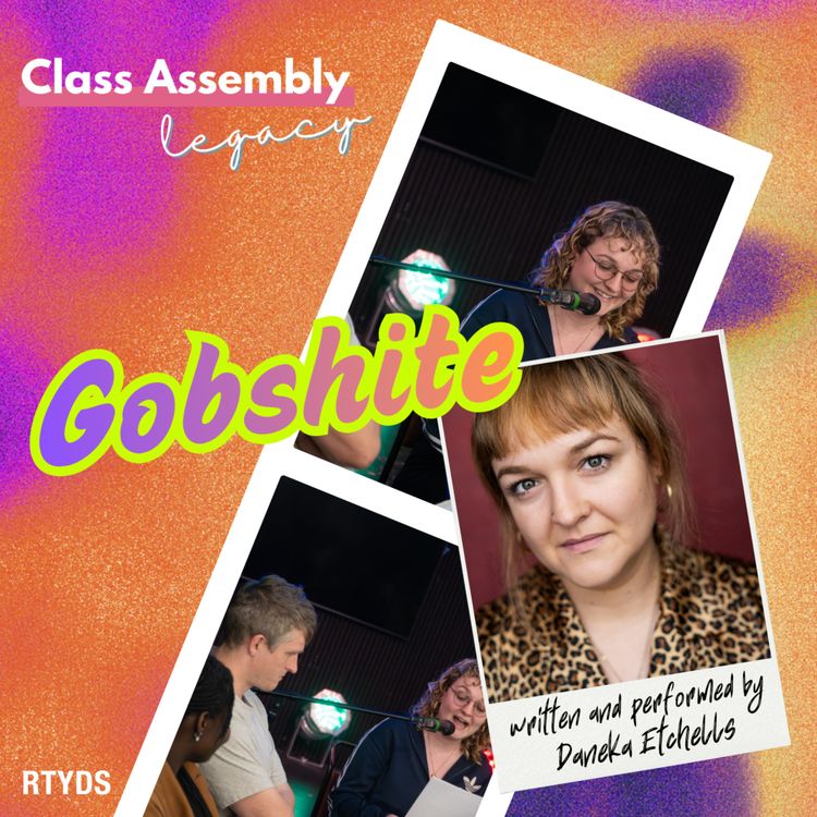 cover art for Gobshite