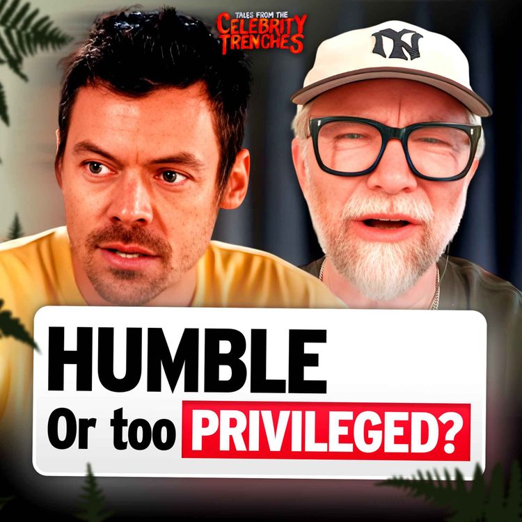 cover art for Harry Styles, check your privilege!