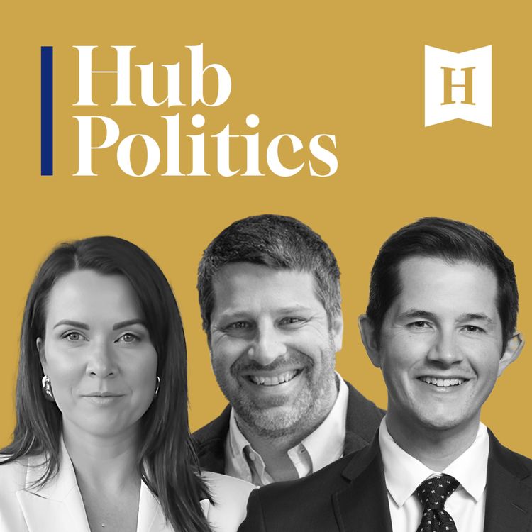 cover art for Could Avi Lewis save the NDP?