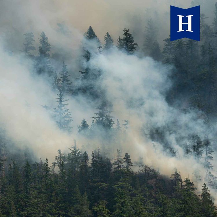 cover art for Why wildfires are reshaping Canadian climate politics