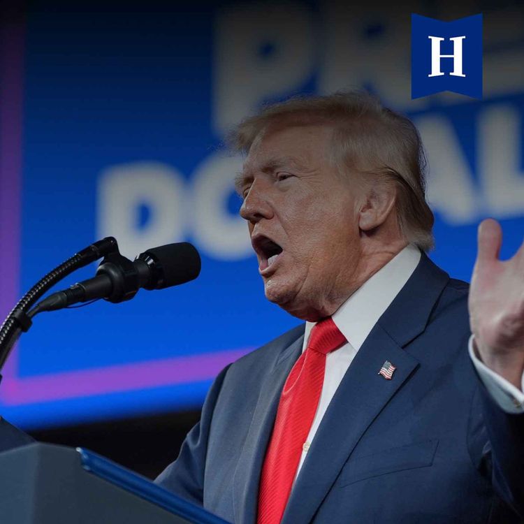 cover art for Will midterm losses for Trump make Canada's trade war worse?