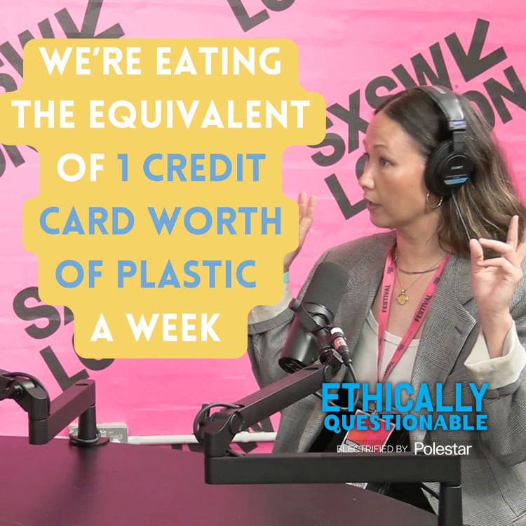cover art for EQ News: The Plastic Detox, Cancelled Flights, & Pattie Gonia - Live from SXSW London