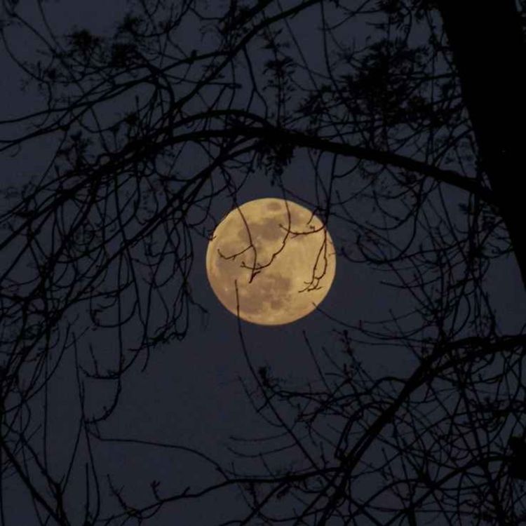 cover art for The Great Moon Hoax (No, Not That One)