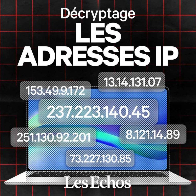 cover art for Le business improbable des adresses IP