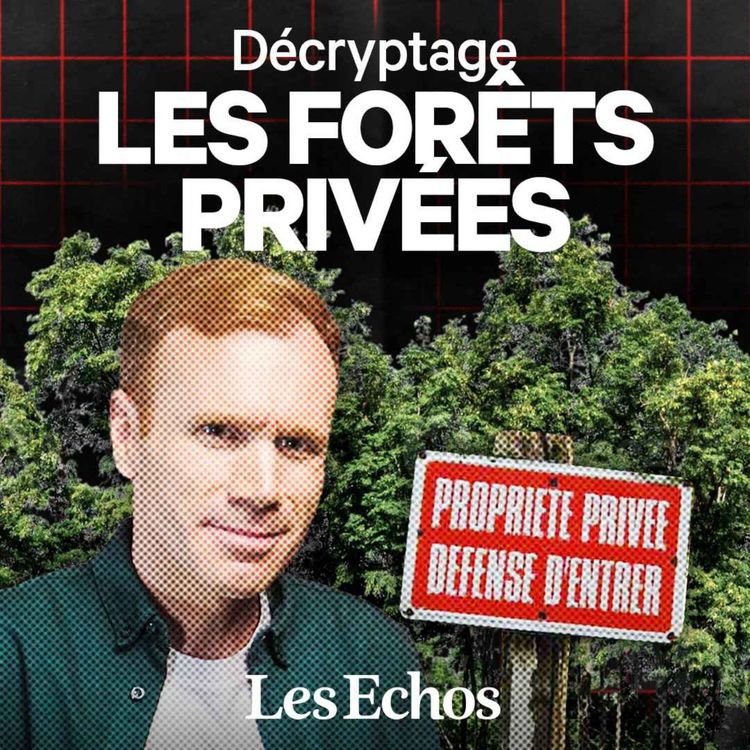cover art for Le business méconnu des forêts privées