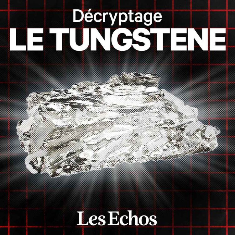 cover art for La France possède un trésor stratégique qu’elle refuse d’exploiter