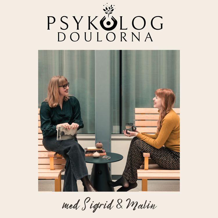 cover art for 3. Att föda barn - födande och psykisk ohälsa