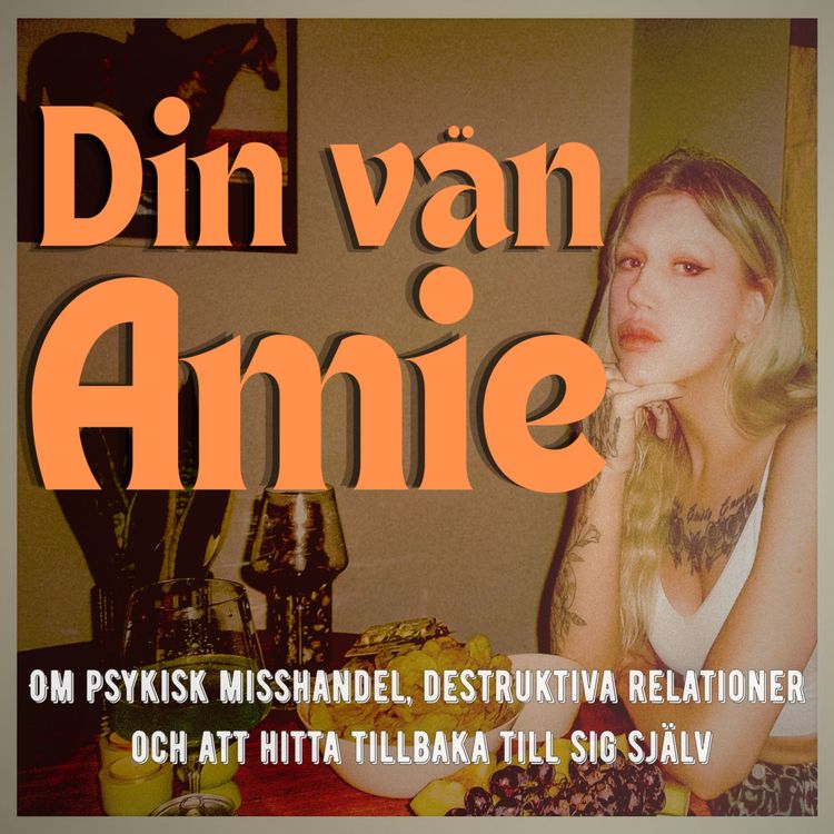 cover art for Din vän Amie