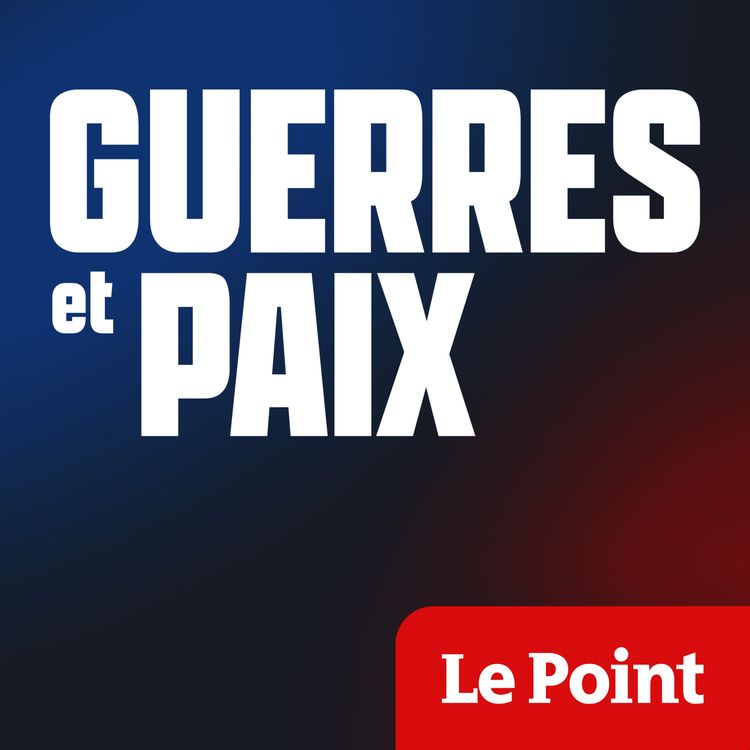 cover art for La Guerre de l’ombre : protéger l'industrie face à l’espionnage