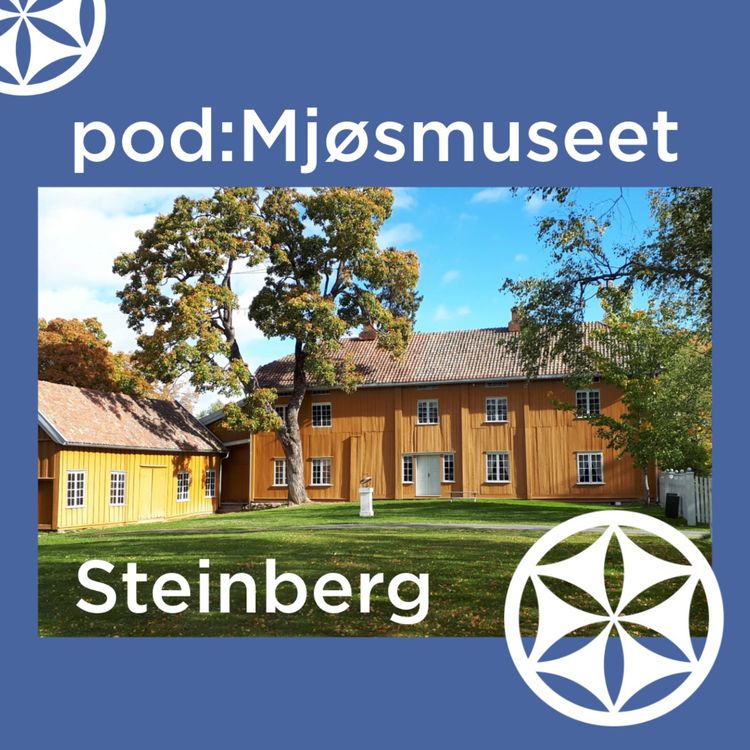 cover art for Steinberg #1 – Vælkømmin til Steinberg