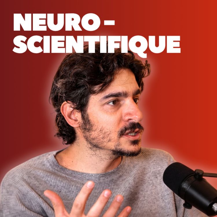 cover art for Comment fonctionne notre cerveau ? (avec Albert Moukheiber)