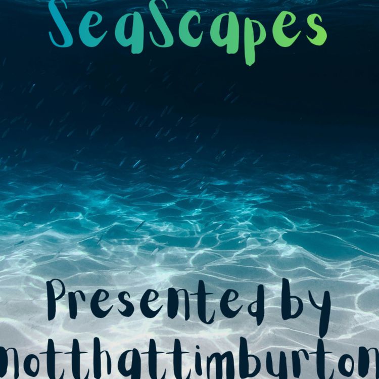 cover art for SeaScapes Ep 6: Ah Yes, The Liberary