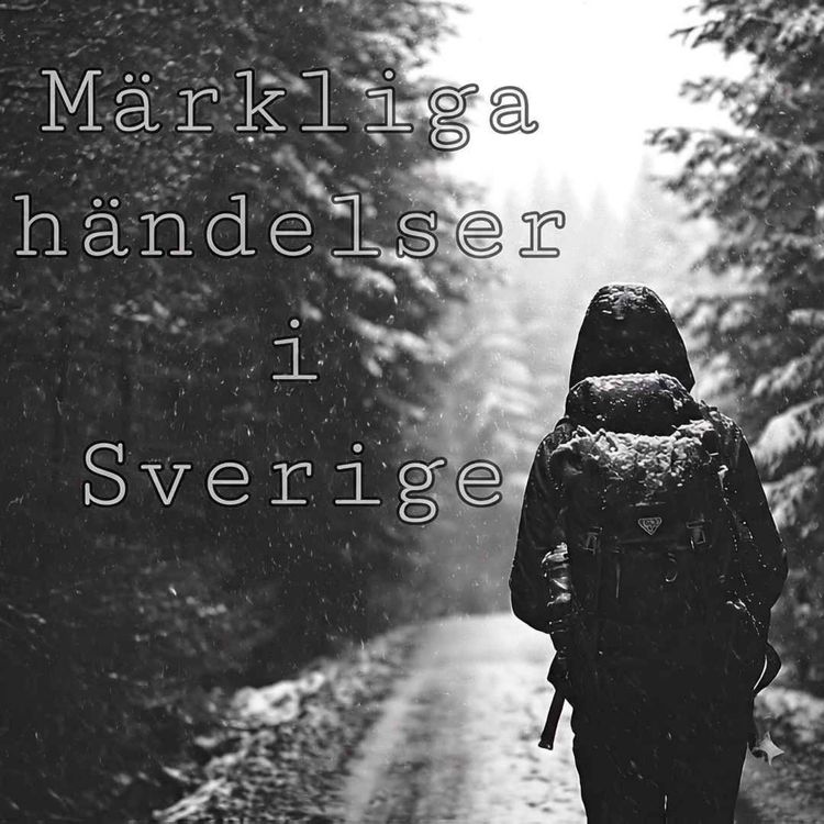 cover art for Smålands mörka hölje