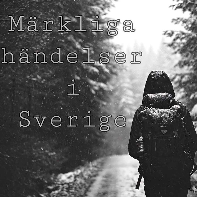 cover art for Den härmar din röst: Mardrömmen  på väg 101 