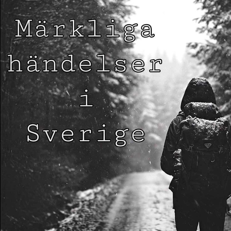 cover art for Stövlarna på stenen: 