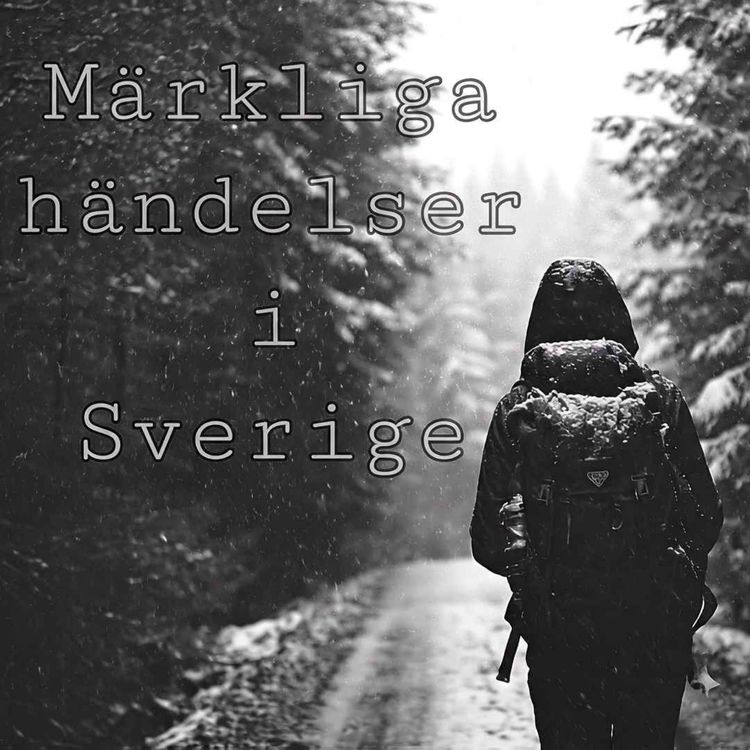 cover art for Mannen på taket 