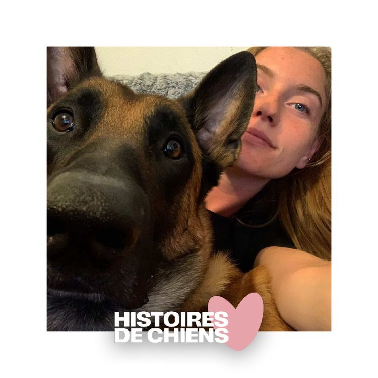 cover art for #02 - Cassandra - Quand le chien devient le miroir de nos peurs