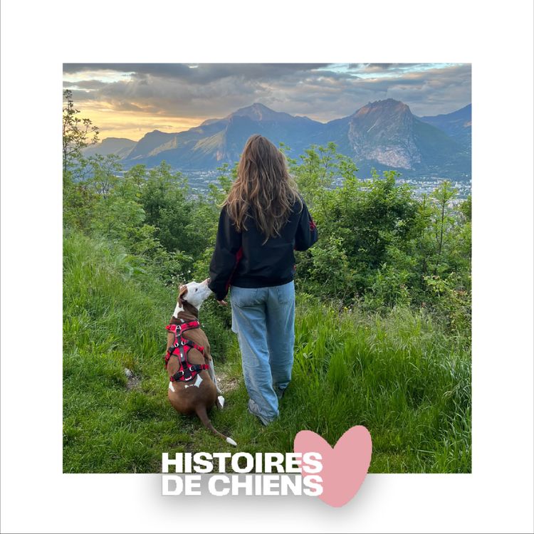 cover art for #09 - Sophie - Se battre pour la garde de ma chienne