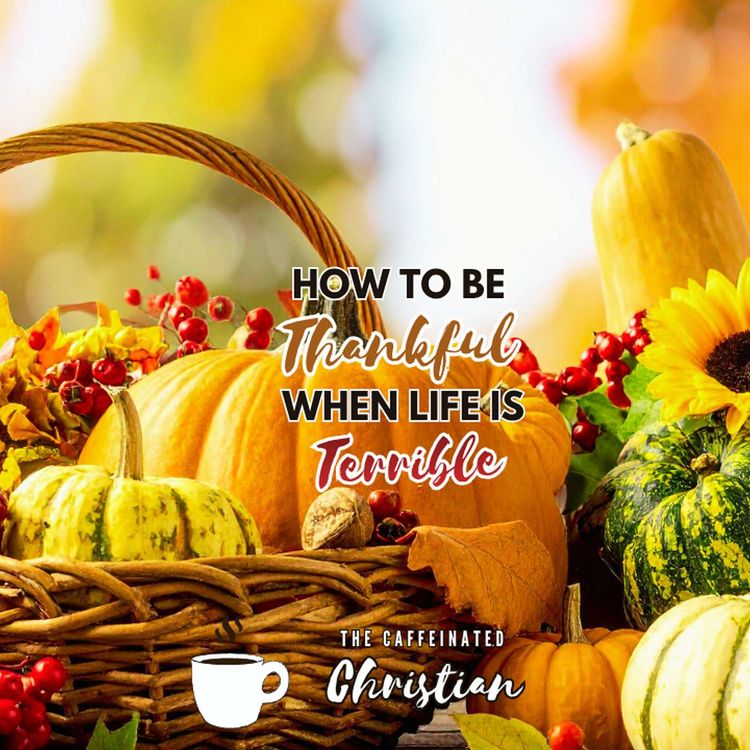 cover art for How to be Thankful When Life is Terrible