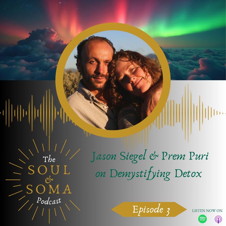 cover art for Demystifying Detox with Prem Puri