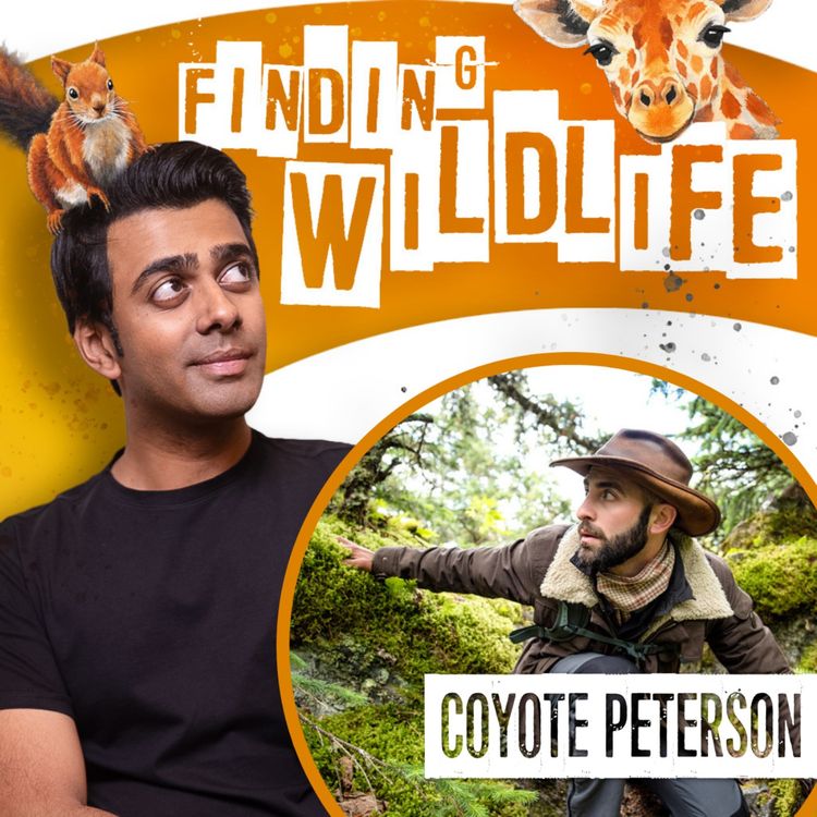 cover art for Coyote Peterson - Building a YouTube Empire