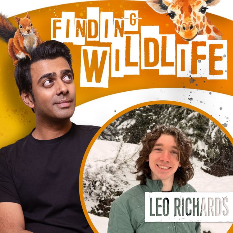 cover art for Leo Richards - Communicating the Unknown