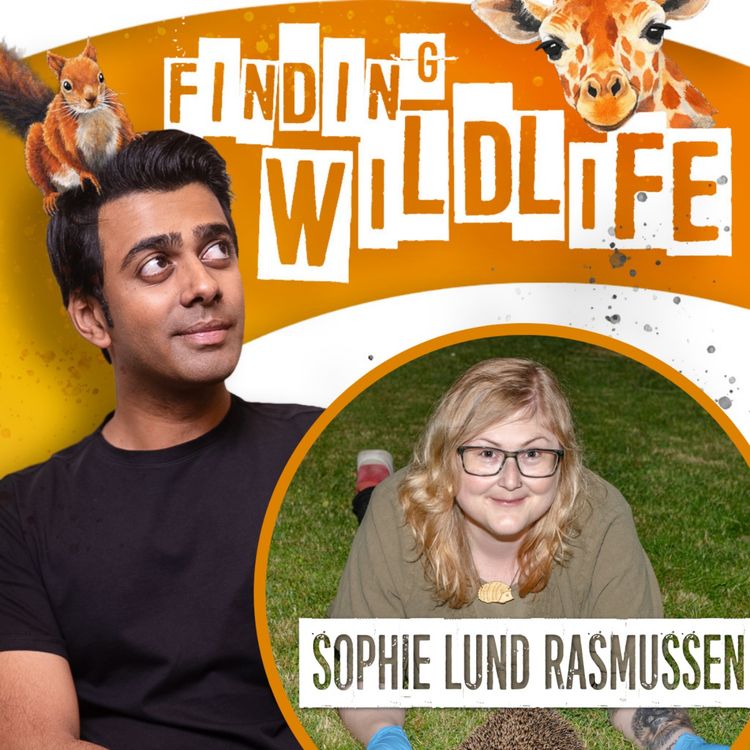 cover art for Sophie Lund Rasmussen - Saving One Million Hedgehogs
