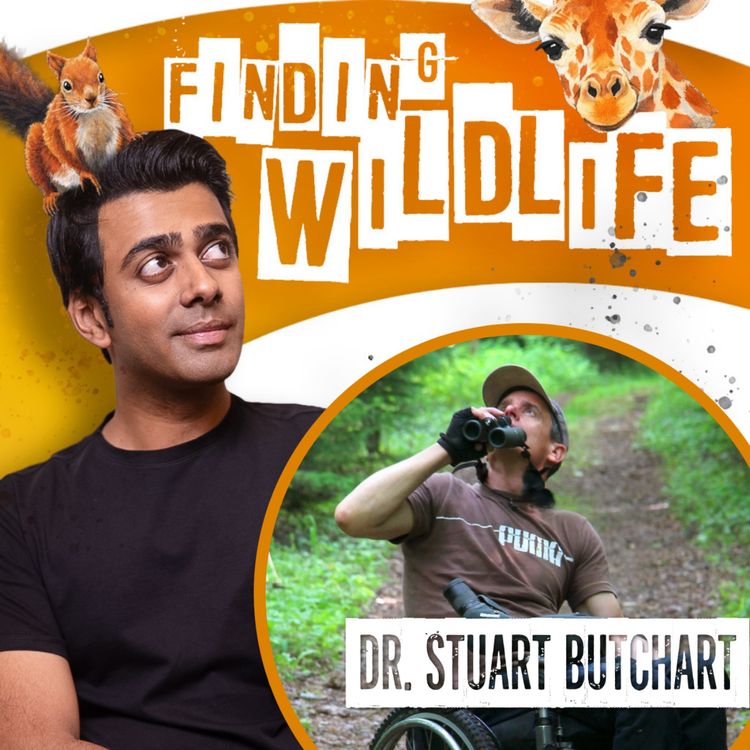 cover art for Dr Stuart Butchart - Saving the World's Birds