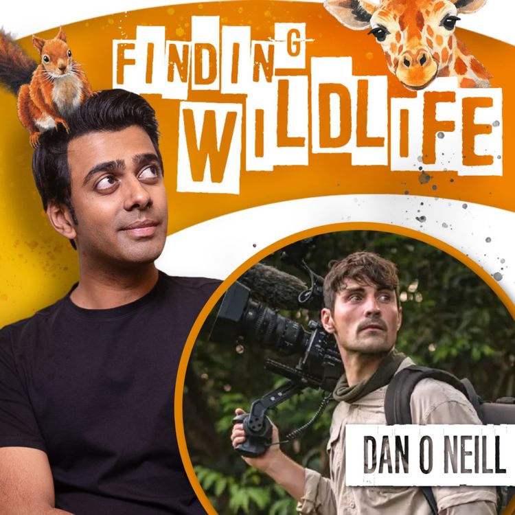 cover art for Dan O'Neill - Adventures with Tigers