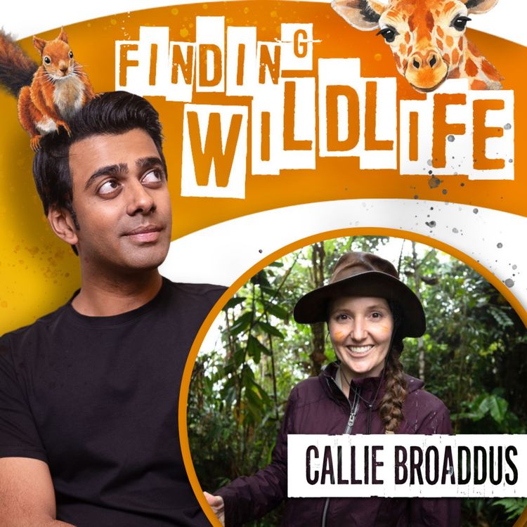 cover art for Callie Broaddus - How Youth Saved a Forest