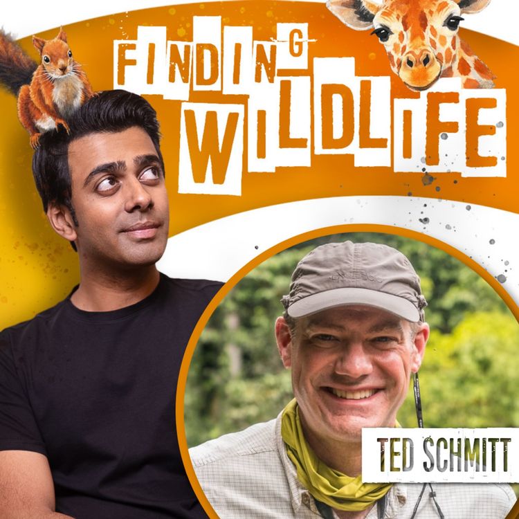 cover art for Ted Schmitt - Using AI to Save Animals