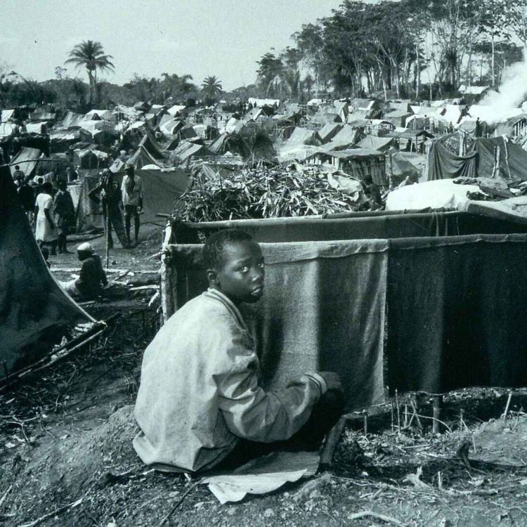 cover art for Auprès des réfugiés rwandais au Zaïre-Congo - Épisode 2 - Guerre d'information sur le nombre de réfugiés