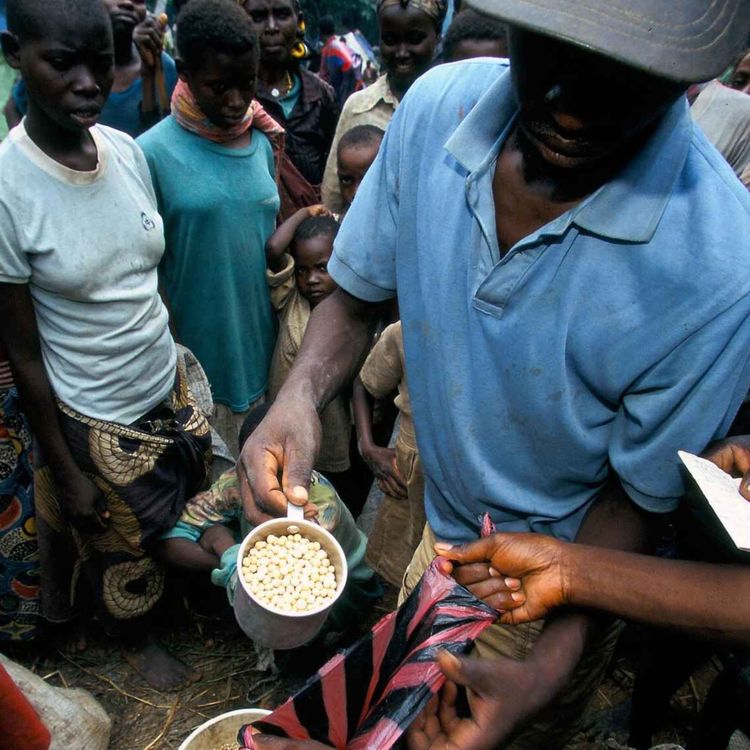 cover art for Auprès des réfugiés rwandais, traqués au Zaïre-Congo - Ép. 8 - Les leçons à tirer des rétrospectives