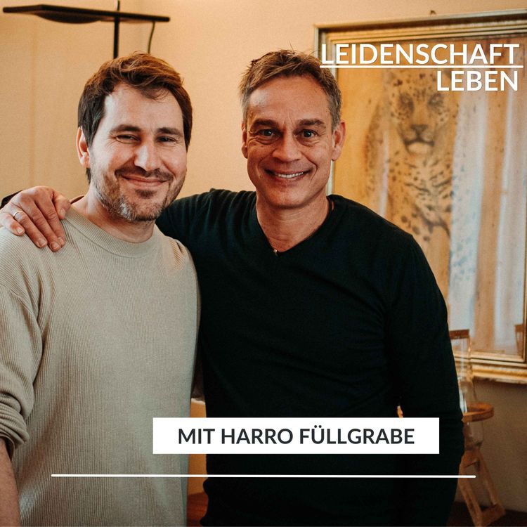 cover art for Harro Füllgrabe: Als Galileo - Extremreporter um die Welt