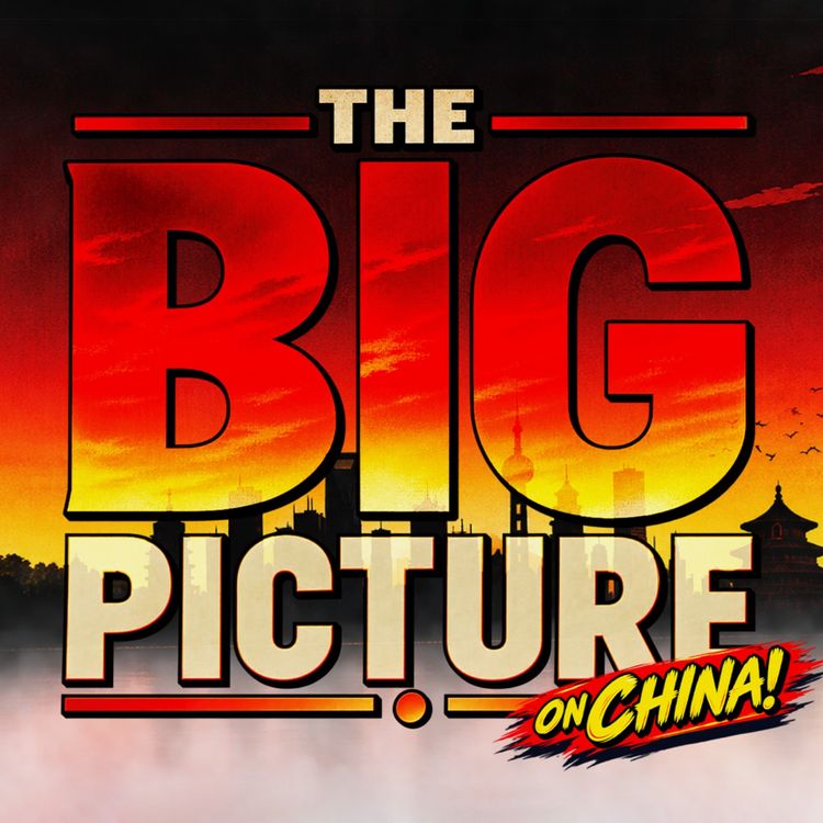 cover art for China's EV Revolution