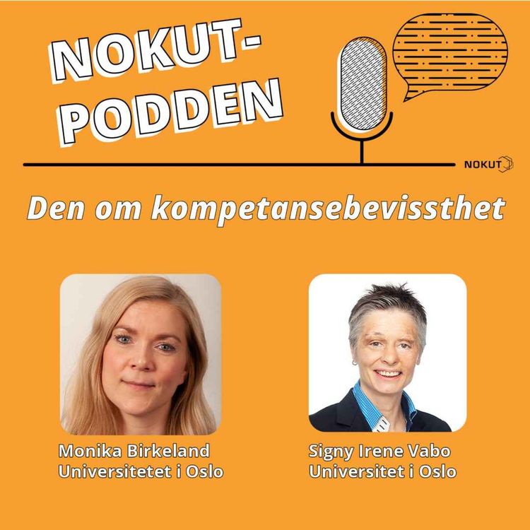 cover art for Den om kompetansebevissthet