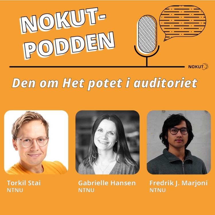 cover art for Den om Het potet i auditoriet