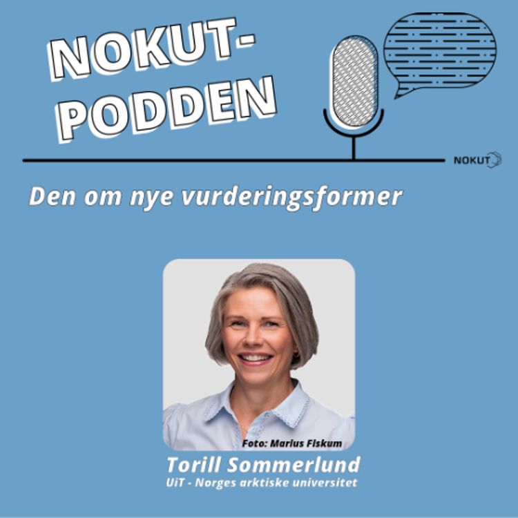cover art for Den om nye vurderingsformer