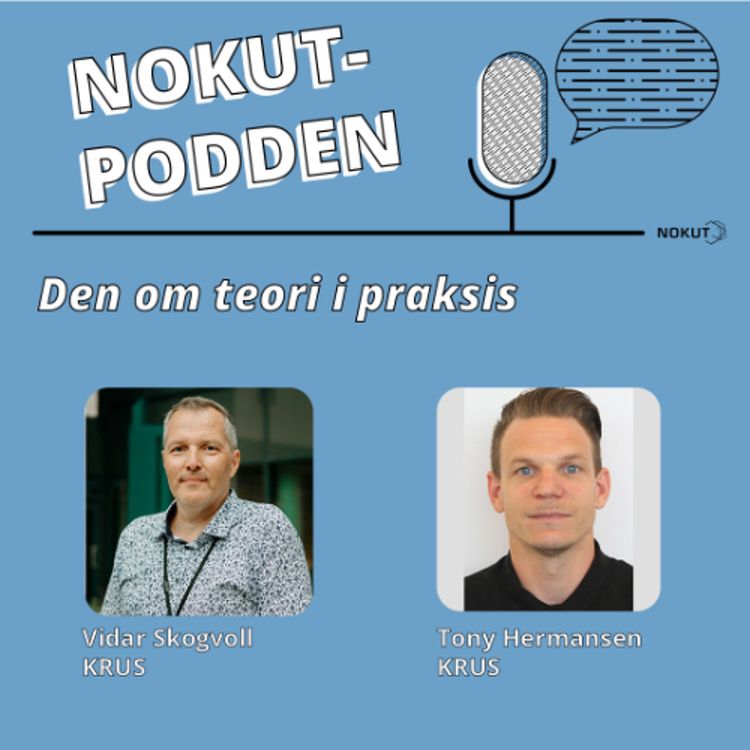 cover art for Den om teori i praksis