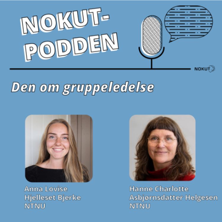 cover art for Den om gruppeledelse